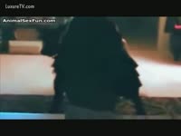Bestiality Video - A collection of dog fucking sessions